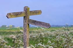 signpost